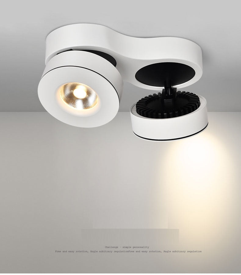 Adjustable Surface Mounted LED Downlight 2x12W 2x15W 2x20W COB LED Ceiling Lamps Down Light LED Spotlight Rotatable