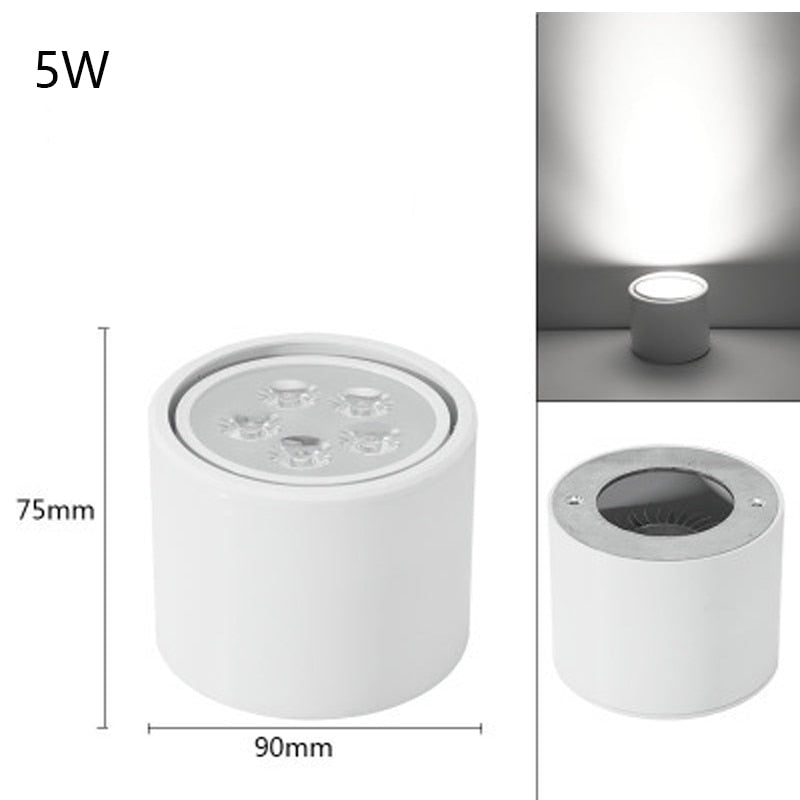 Led Downlight Lamp Round Spot Lamp Verstelbare Hoek Plafond Plafond Plafond Shop Commercial Aisle Corridor Angle Round Downlight