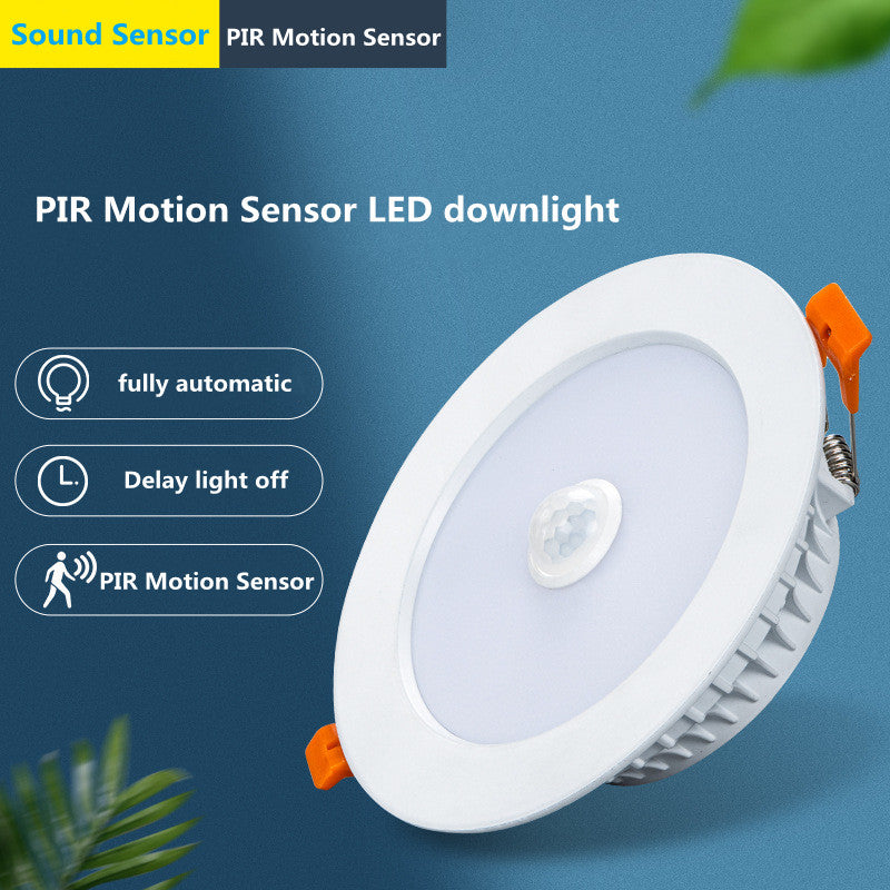 Sound Infrared control LED Downlight 220V White /Warm White 3W 5W 7W 9W 18W 30W 40W Recessed in LED Ceiling Downlight Light