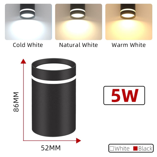 Led Down Light Spot LED Downlights 220V 5W/10/15/25W Spotlight Lights Surface Mounted Lamp for Indoor Lighting Kitchen Ceiling