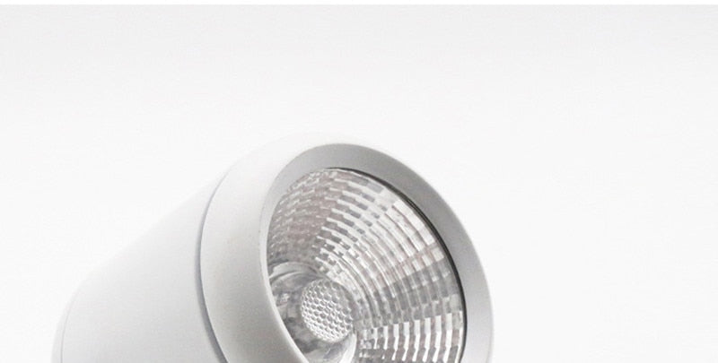 LED Downlight 5W 7W 12W 15W 18W 20W 25W 30W COB downlight 220V Led Bulb Bedroom Kitchen Indoor LED Spot Lighting