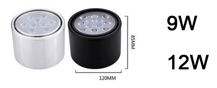 Dimmable LED Ceiling lamp Surface mounted 3W 5W 7W 9W 12W Led downlights Spot Light Rotation Kitchen Downlights Lighting