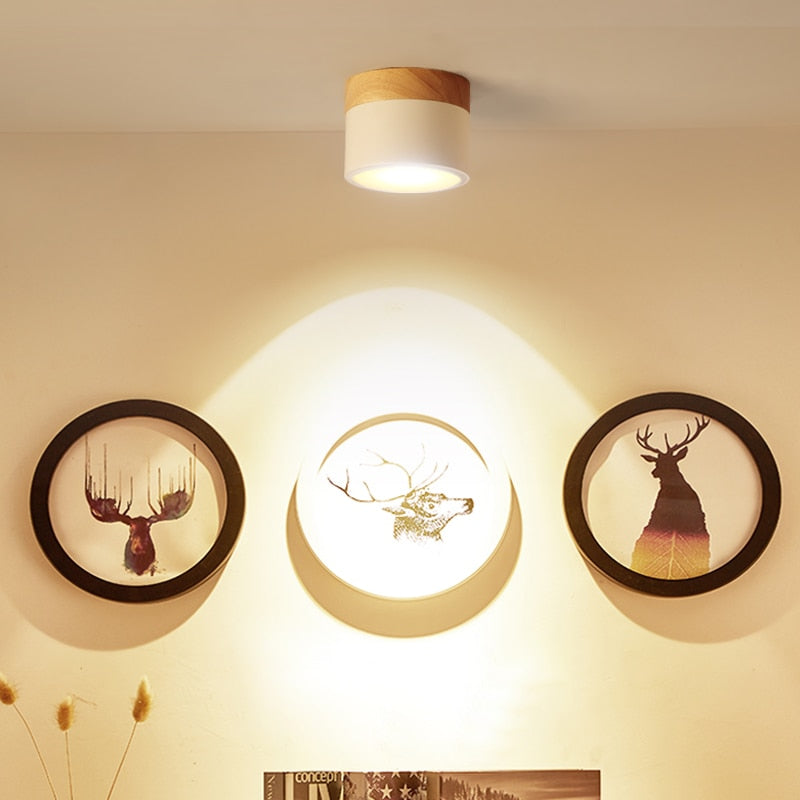 LED Surface Mounted RGB Downlight Remote Control 7W 9W Ceiling light RGB Color Change Dimming LED Wire Hanging Bar Aisle Lamps