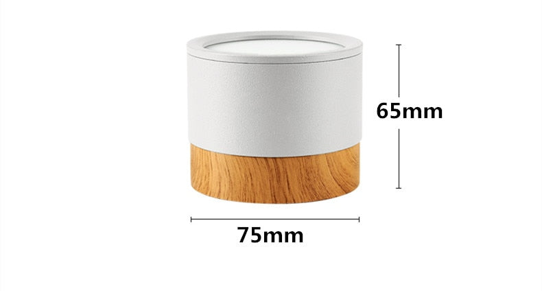 LED Surface Mounted RGB Downlight Remote Control 7W 9W Ceiling light RGB Color Change Dimming LED Wire Hanging Bar Aisle Lamps