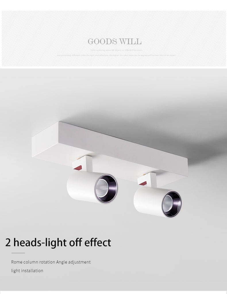 BRGT LED Spot Lights Surface Mounted 12W Ceiling Lamp Downlight Focos Rotatable Light For Kitchen Living Room Indoor Lighting