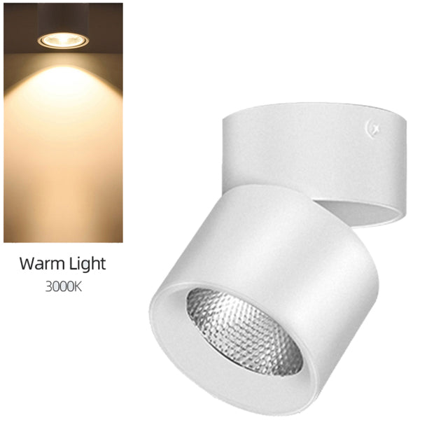 LED Spotlight Downlights 10W Adjustable Modern Spot Led Lamp Surface Mounted Downlight Down Light For Kitchen Indoor Lighting