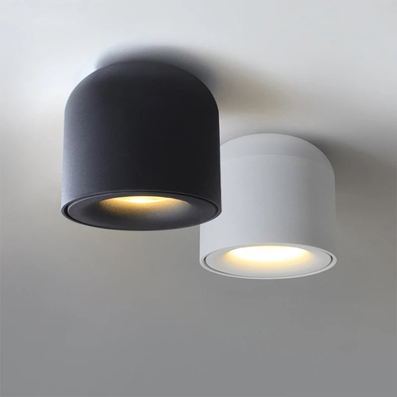 Surface Mounted Ceiling Downlight Ceiling Fixtures COB Led Spot Light For Living Room Bedroom Bathroom Corridor Decoration Light