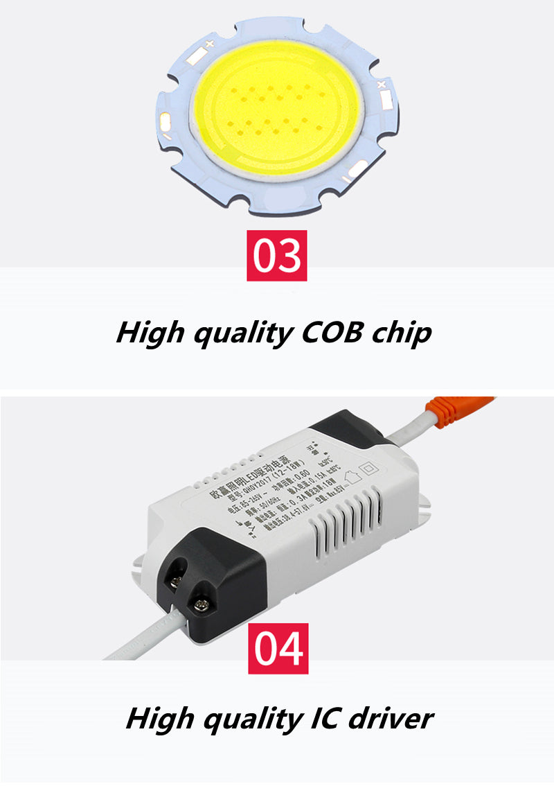 Square Bright Recessed Double LED Dimmable Downlight COB 14W 20W 24W LED Spot light Ceiling Lamp AC 85- 265V with Frosted lens