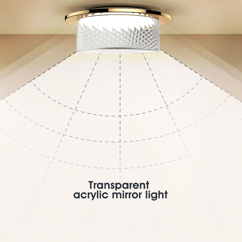 LED downlight golden warm light ceiling light round 5W/7W/9W/12W 110V 220V three-color variable