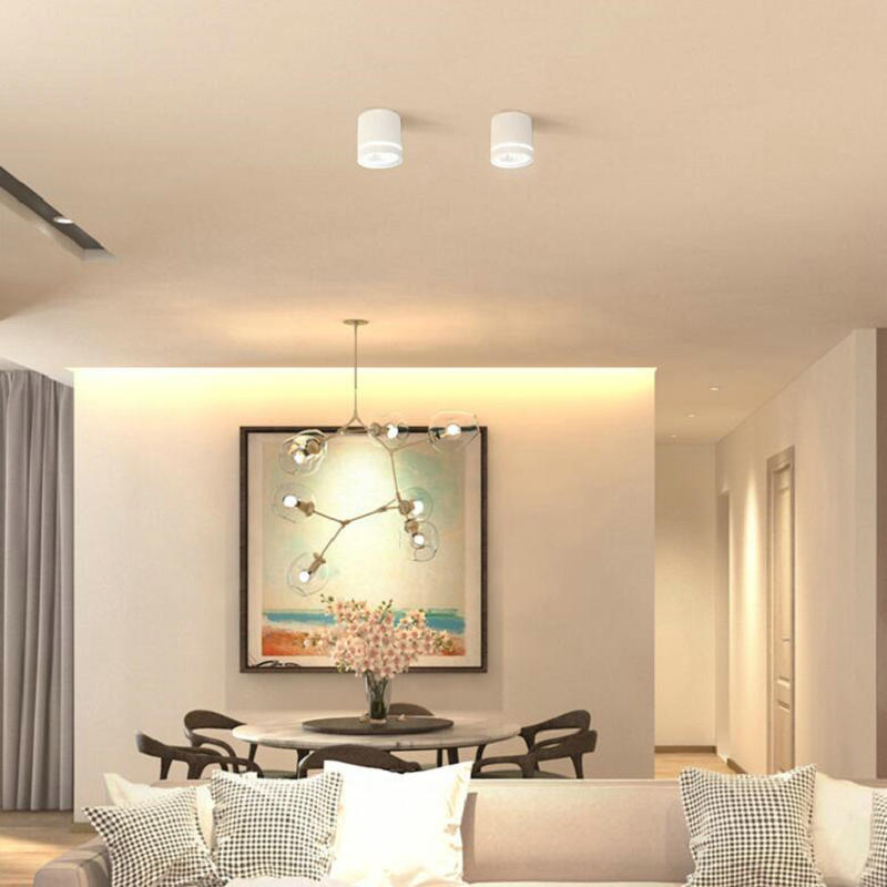 LED Downlight 5W 7W 10W 15W 20W Surface mount Round LED Ceiling Lamp AC 110V 230V 240V Indoor Lighting Warm White Cold White