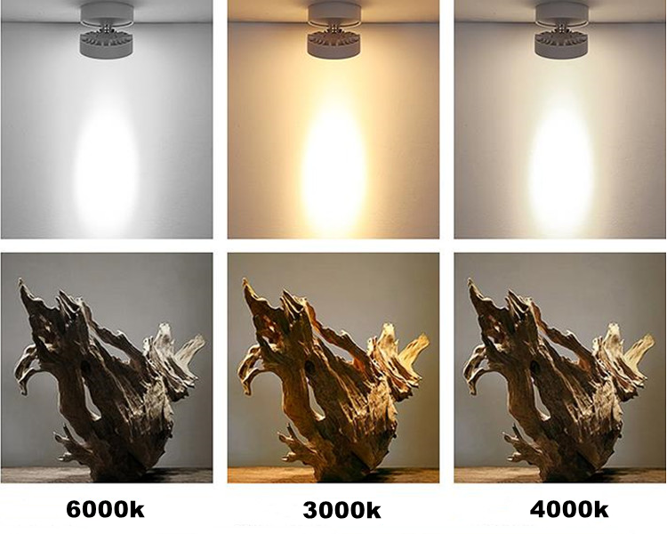 Round Shape 360 Adjustable Angle Led Cob Downlight 7w 9W 12W 15 Led Ceiling Spot Light Pic Background Spotlights TV Background