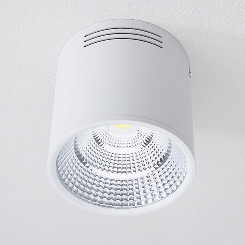 LED Surface Mounted Downlight 2 Colors COB Ceiling Spot Light for Hotel Villa Home Lighting