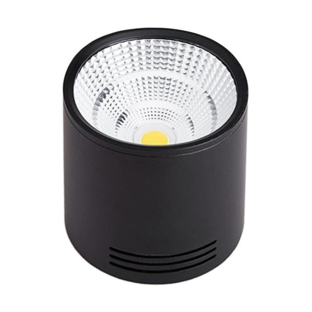 LED Surface Mounted Downlight 2 Colors COB Ceiling Spot Light for Hotel Villa Home Lighting