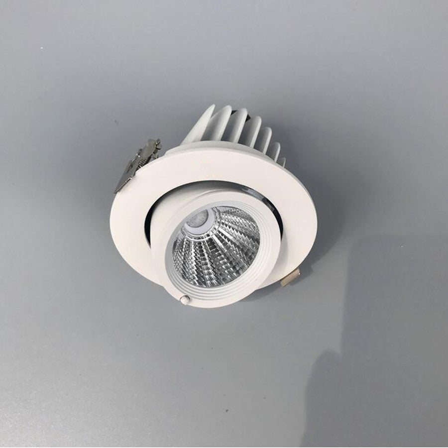 Hight Power 10W 12W COB LED Downlights Adjustable Recessed Ceiling Lamps for Clothes Shoes Stores Dimmable Light Ceiling Spotlight