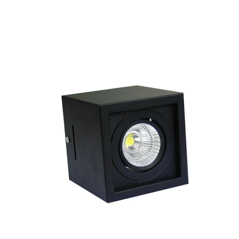 Dimmable LED Grille Light COB LED Downlights 10W 20W 1 Head 2 Heads Surface Mounted Ceiling for Home Clothing Shop Stores