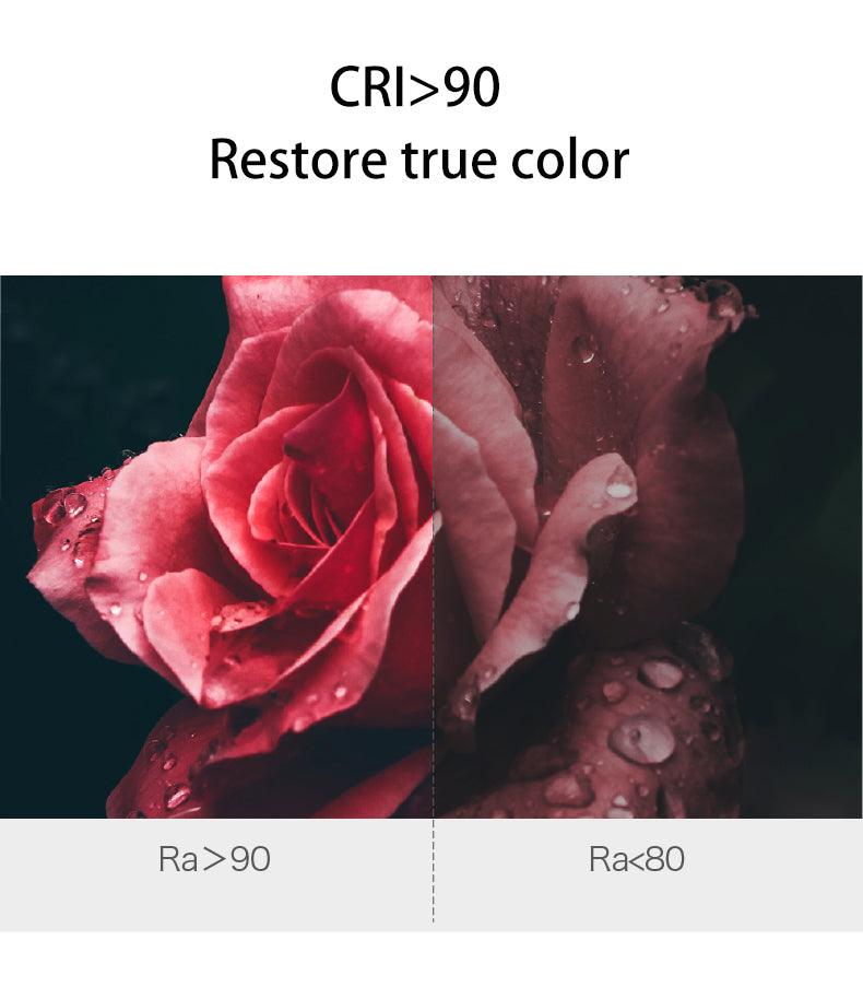 BRGT Borderless LED Spot Light Recessed Downlight Narrow Ceiling Lights Focus Lamp 220V For Kitchen Living Room Indoor Lighting