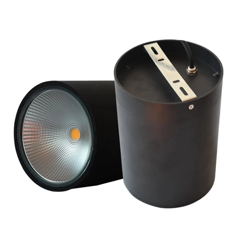 Surface Mounted Led Downlight Ceiling Spot Light 10W 12W 20W 25W 30W Outdoor Hotel Villa Home Waterproof Ip65 Indoor Lighting