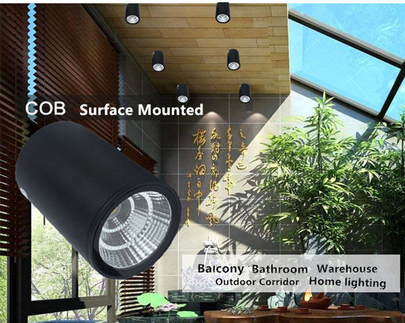 Surface Mounted Led Downlight Ceiling Spot Light 10W 12W 20W 25W 30W Outdoor Hotel Villa Home Waterproof Ip65 Indoor Lighting