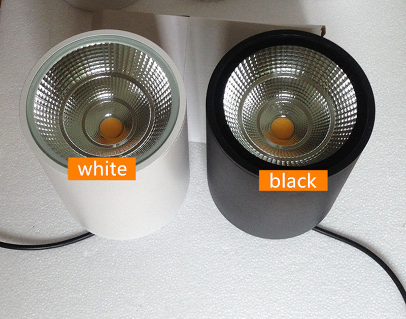 Surface Mounted Led Downlight Ceiling Spot Light 10W 12W 20W 25W 30W Outdoor Hotel Villa Home Waterproof Ip65 Indoor Lighting