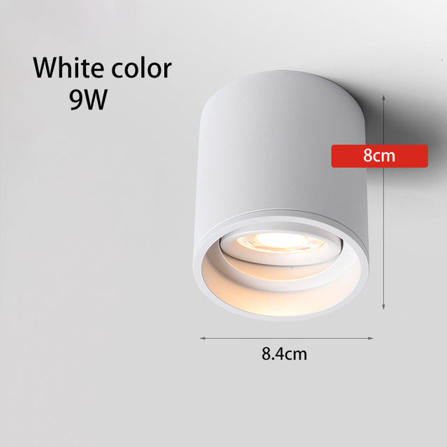 BRGT Led Spotlights Surface Mounted Downlight Living Room White Ceiling Focos Light Nordic Lighting For Kitchen Aisle AC85-265V warm light