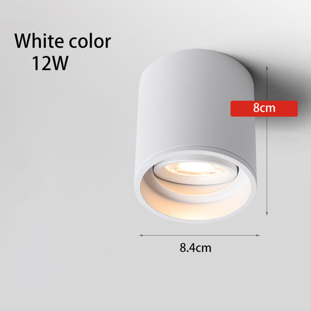 BRGT Led Spotlights Surface Mounted Downlight Living Room White Ceiling Focos Light Nordic Lighting For Kitchen Aisle AC85-265V warm light