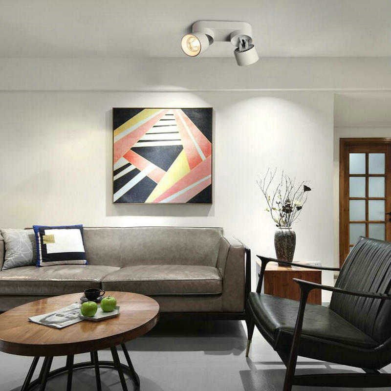 LED spot lights Surface Mount Ceiling Lamp 20W Living Room Simple Nordic Adjustable And Rotate COB Downlight