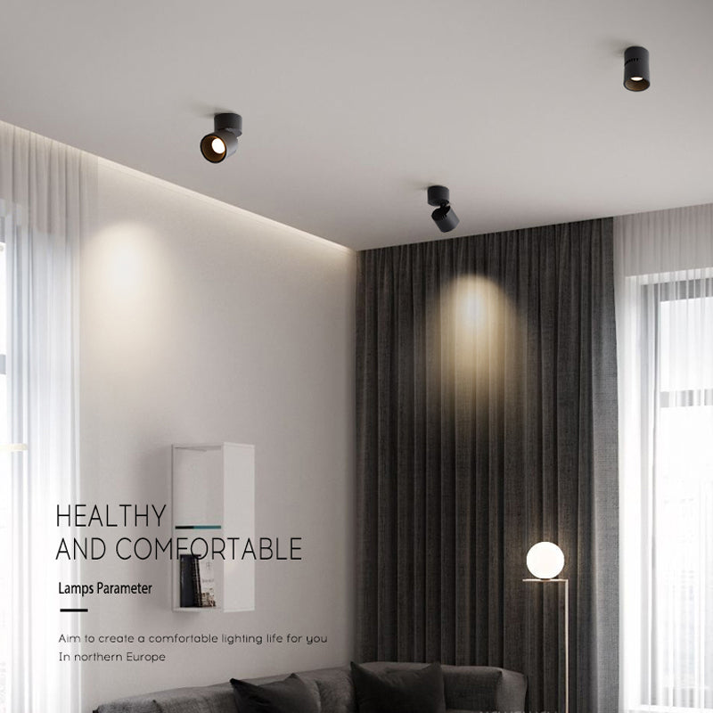 FLKL COB LED Downlight Spot Light 220V Spotlight Ceiling Surface Mounted 5/10/15/25W Led Lamp For Kitchen Indoor Lighting