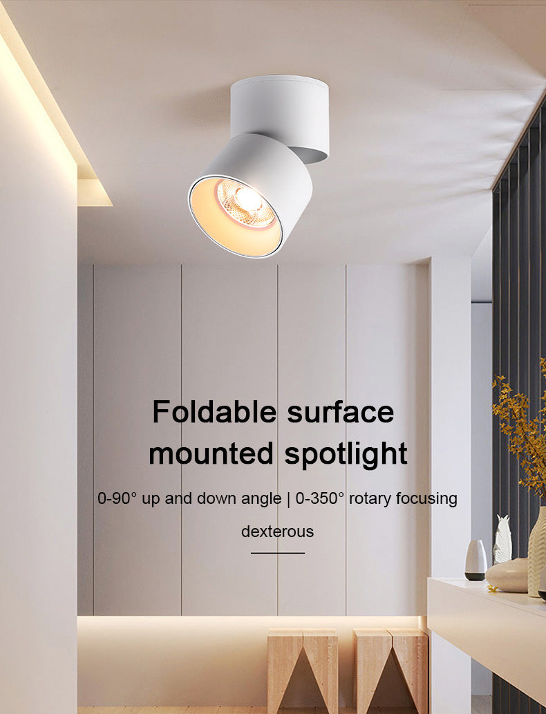 FLKL COB LED Downlight Spot Light 220V Spotlight Ceiling Surface Mounted 5/10/15/25W Led Lamp For Kitchen Indoor Lighting