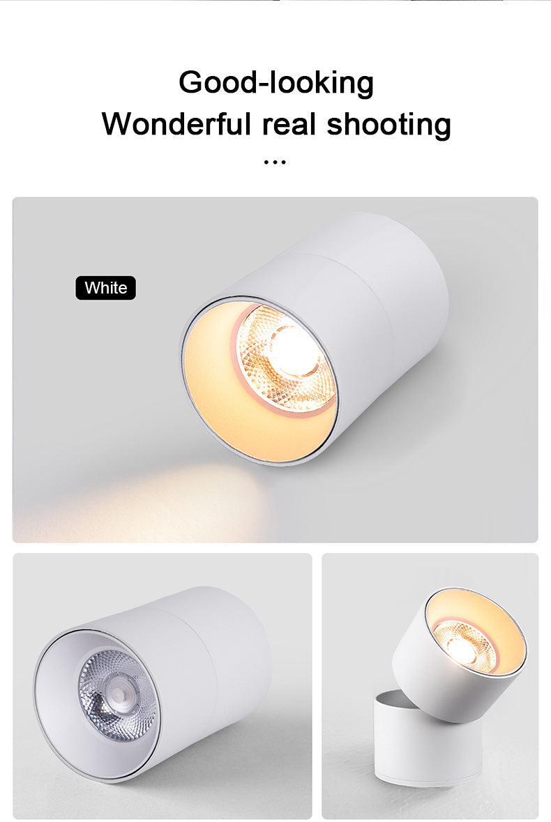 FLKL COB LED Downlight Spot Light 220V Spotlight Ceiling Surface Mounted 5/10/15/25W Led Lamp For Kitchen Indoor Lighting