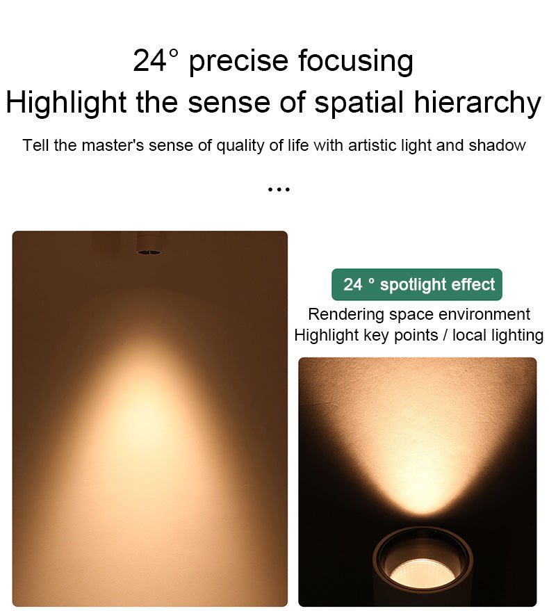 FLKL COB LED Downlight Spot Light 220V Spotlight Ceiling Surface Mounted 5/10/15/25W Led Lamp For Kitchen Indoor Lighting