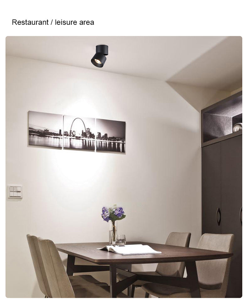 FLKL COB LED Downlight Spot Light 220V Spotlight Ceiling Surface Mounted 5/10/15/25W Led Lamp For Kitchen Indoor Lighting