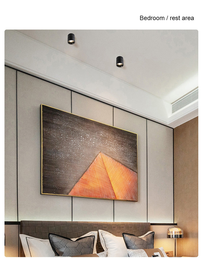 FLKL COB LED Downlight Spot Light 220V Spotlight Ceiling Surface Mounted 5/10/15/25W Led Lamp For Kitchen Indoor Lighting