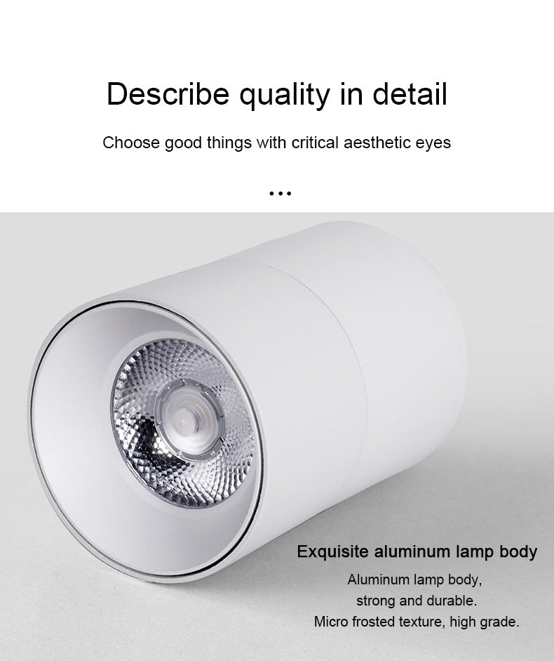 FLKL COB LED Downlight Spot Light 220V Spotlight Ceiling Surface Mounted 5/10/15/25W Led Lamp For Kitchen Indoor Lighting