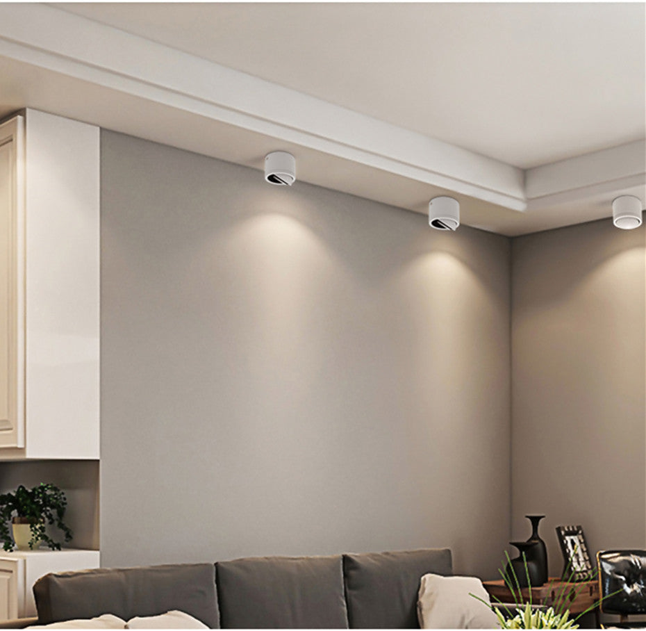 Surface mounted LED Downlight Dimmable Led COB Ceiling Spot light 5W 7W 9W 15W 360 degree rotating 110/220V Warm White/ white