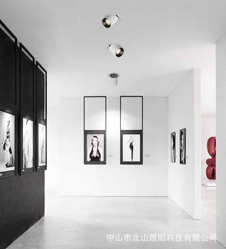 NEW LED Aluminum Recessed Rotating Downlight 7W/9W/12W/15W/12W/25W Chip COB Spot Light Ceiling Lamp AC85-265V Indoor Lighting