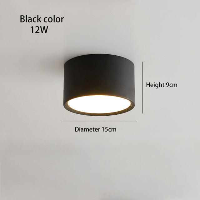 BRGT LED Surface Mounted Downlight 5W 7W 9W 12W SMD Ceiling Lamp Round Spot Lights AC85-265V Focos For Home Shop Indoor Lighting