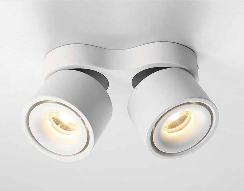 Dimmable COB LED Downlights 18W 24W 30W LED Ceiling Spot Lights AC110-240V LED Ceiling Lamps Warm Cold White Indoor Lighting