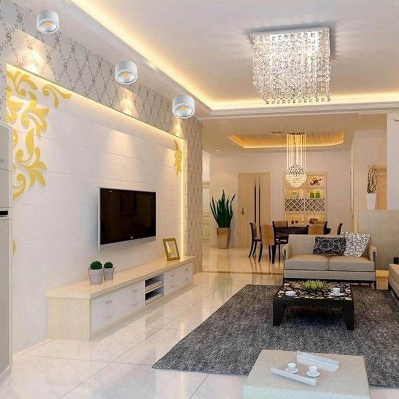 Surface Mounted COB LED Downlights Dimmable 5W 7W 10W 15W LED Ceiling Lamp AC85-265V Living Room Kitchen Aisle balcony Lighting