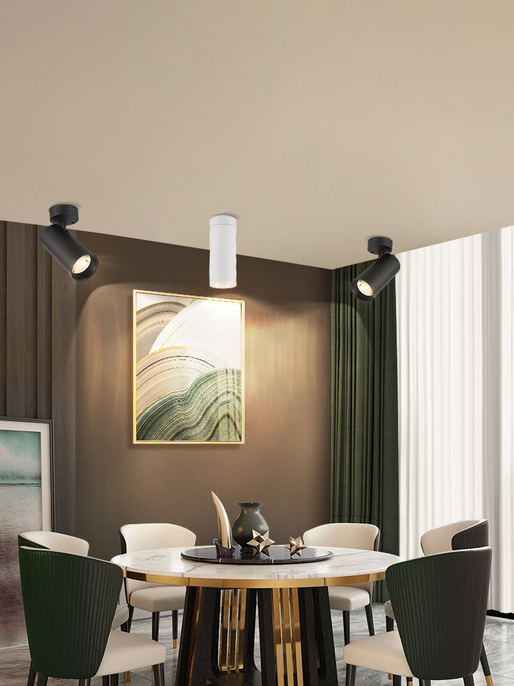 Foldable Led Downlights Lamp 220V 40W Led Spot Light Surface Mounted Spotlight Lamp Led Lighting Fixture for Living Room Kitchen