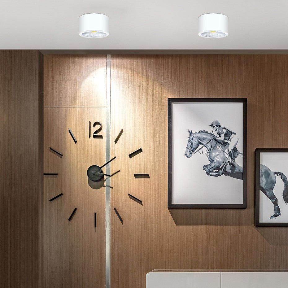 Led Downlight Simple Surface Mounted Led Light Ceiling Light 5W 7W 10W COB Dimmable Indoor Lighting For Bedroom Restaurant Hall