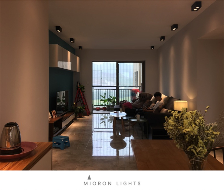 Super Brightness AC 85-230V Square Surface Mounted LED COB Dimmable Downlights 10W 15W 2X10W 2X15W LED Ceiling Lamp Spot Light