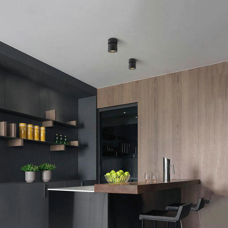 Led Surface Mounted Ceiling Downlight Adjustable 90 degrees Nordic 10W Spot light for indoor Foyer,Living Room AC 90-260V