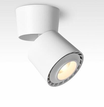 LED Downlights 15W 20W COB LED Ceiling Lamps Adjustable 360 Rotatable LED Track Lights Warm White AC110-220V