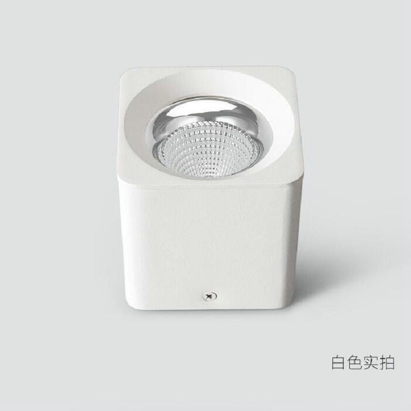 Surface Mounted 10W 15W 20W LED downlight Ceiling Lamps COB LED spot lights 110V 220V Ceiling Fixtures Lighting