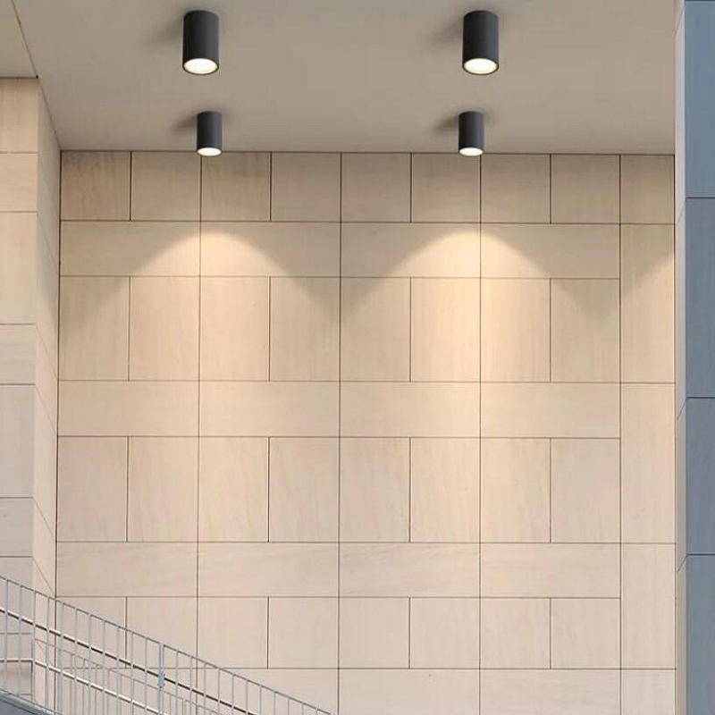 IP65 waterproof COB 15W Ceiling lamps 10PCS/lot LED Downlights Warm white/cold white AC85-265V