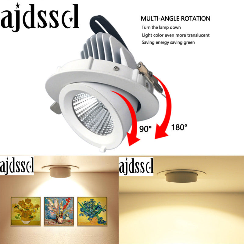 Trunk Downlight COB Ceiling 10W 15W 30W LED Dimmable AC110V/220V85-265V Adjustable recessed led Indoor Light cob led downlight