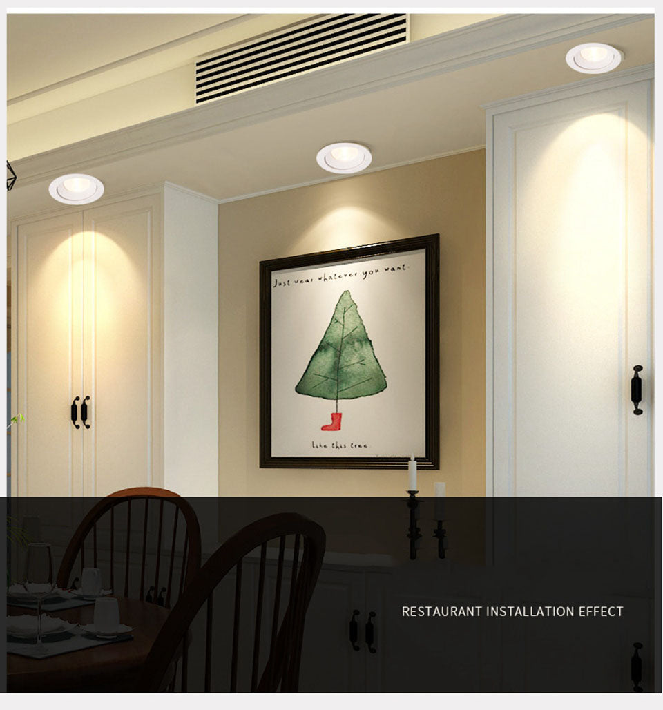 LED Downlight COB AC220V Non Dimmable GD 4pcs 5W 12W 15W 20W Ceiling Spot Lighting Anle Adjustable LED Spot Home Decor + Driver