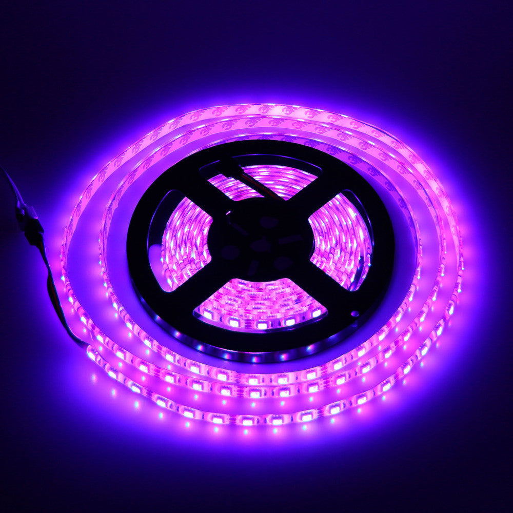 5M 5050 RGB LED Strip Waterproof IP65 12V LED Backlight - TV Light For Christmas Decoration - Warm White/Cool White/RGB