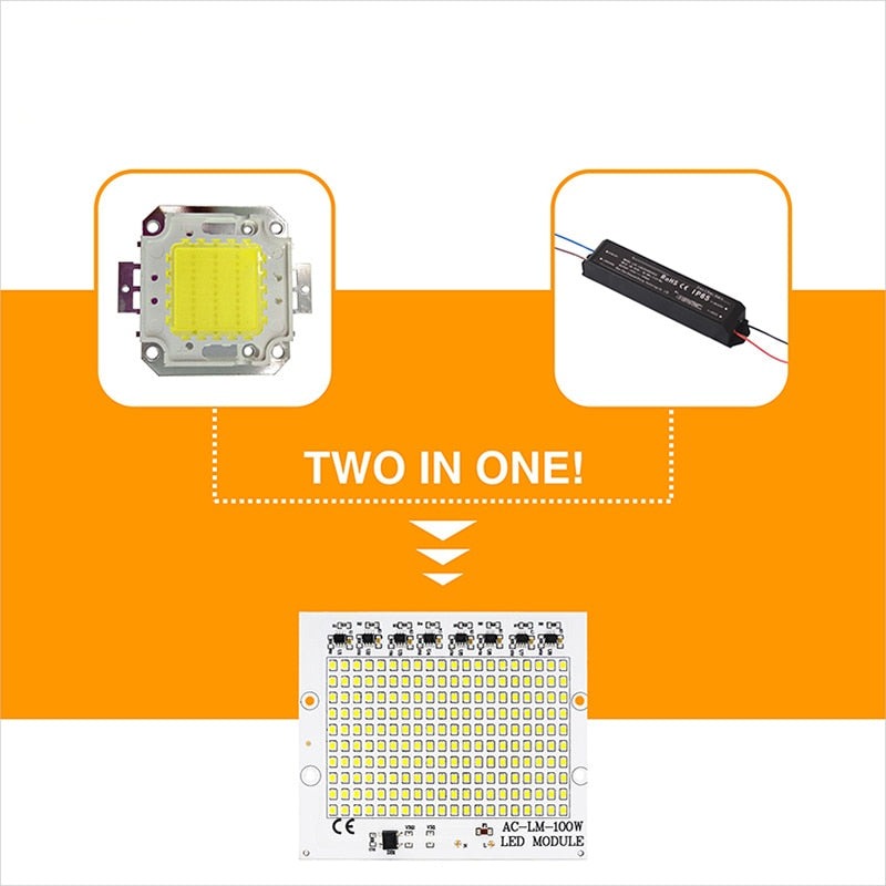 Smart IC SMD LED Chips Lamp 10W 20W 30W 50W 100W AC 220V SMD2835 DIY For Outdoor Floodlight Outdoor Garden Cold White Warm White