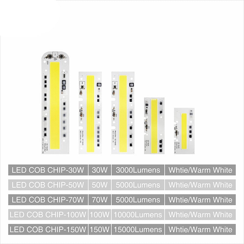 Smart IC Light LED Bright COB Bulb Lamp 30W 50W 70W 100W 150W AC220V 110V Input High Power IP65 Smart IC DIY For LED Flood Light